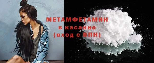 индика Михайловск