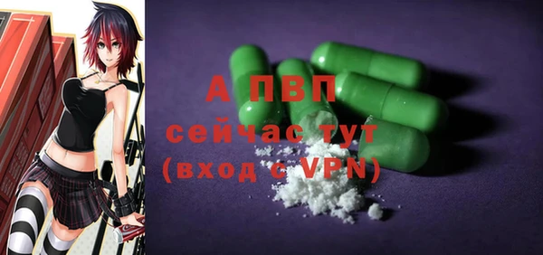 индика Михайловск
