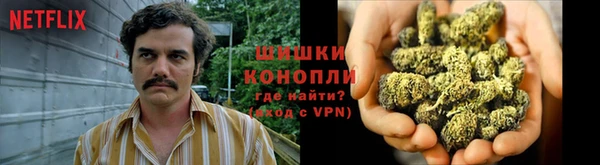 индика Михайловск