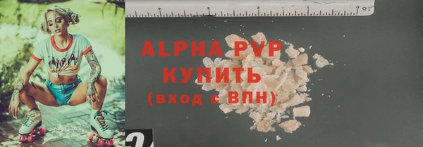 индика Михайловск