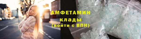 индика Михайловск
