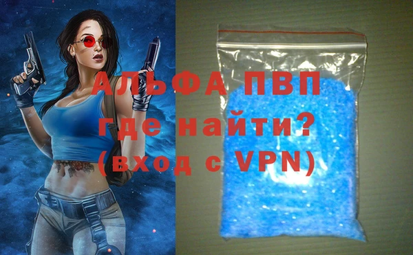 индика Михайловск