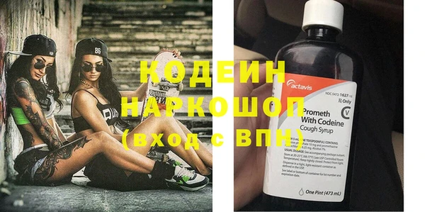 индика Михайловск