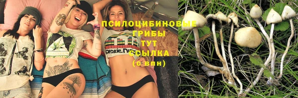 СК Михайловка
