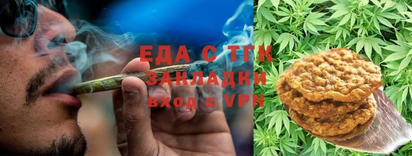 индика Михайловск
