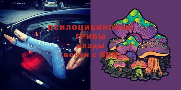 индика Михайловск