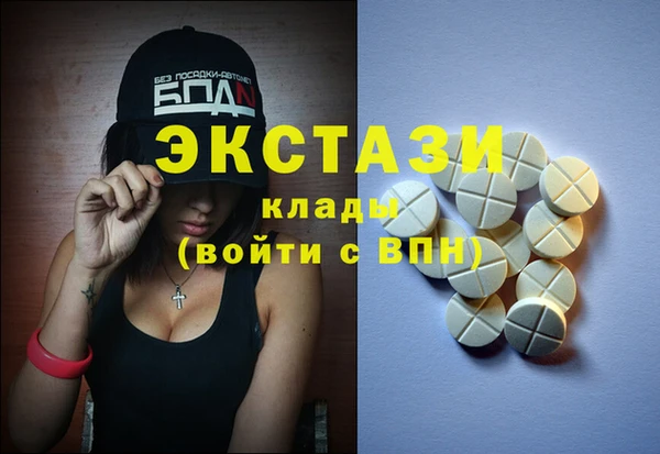 индика Михайловск