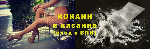 индика Михайловск