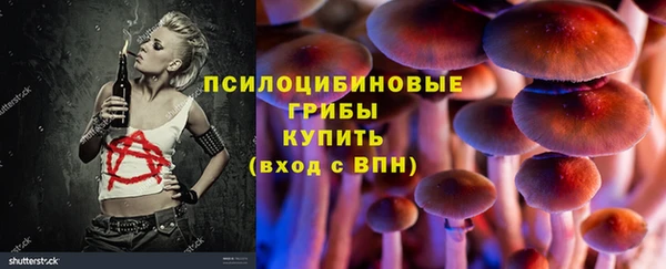 индика Михайловск