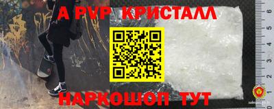 a pvp Гай